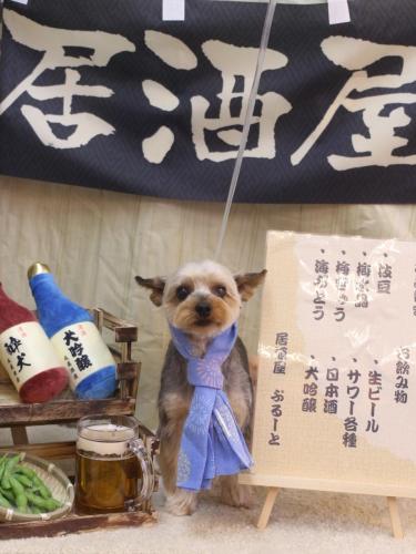 20240628ノアくん